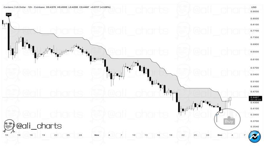 cardano-midnight-secures-night-token-listing-on-binance-ada-soars