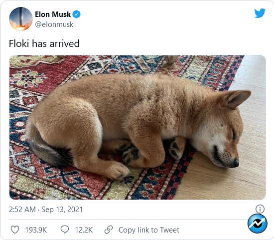 Screenshot 2021 09 13 at 10 46 39 Elon Musk Sends Dogecoin Offshoot Soaring with Photo of His Dog 300x262 - ایلان ماسک، فلوکی اینو را با عکس سگ خود به اوج می فرستد