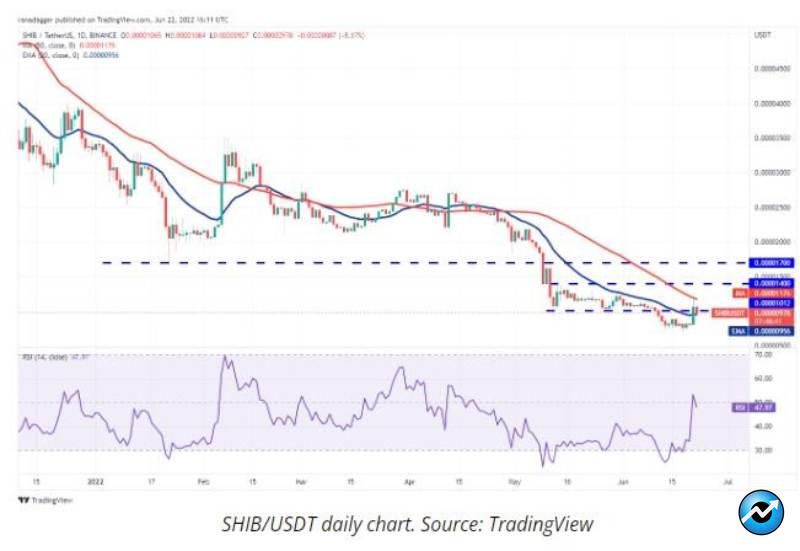 Doge-shib-price-analysis-22-June