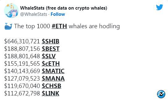 00 SHIB Beats 1 300x180 - میم کوین SHIB رمزارزهای MATIC ،LINK و MANA را به عنوان دارایی شماره 1 نهنگ ها شکست داد