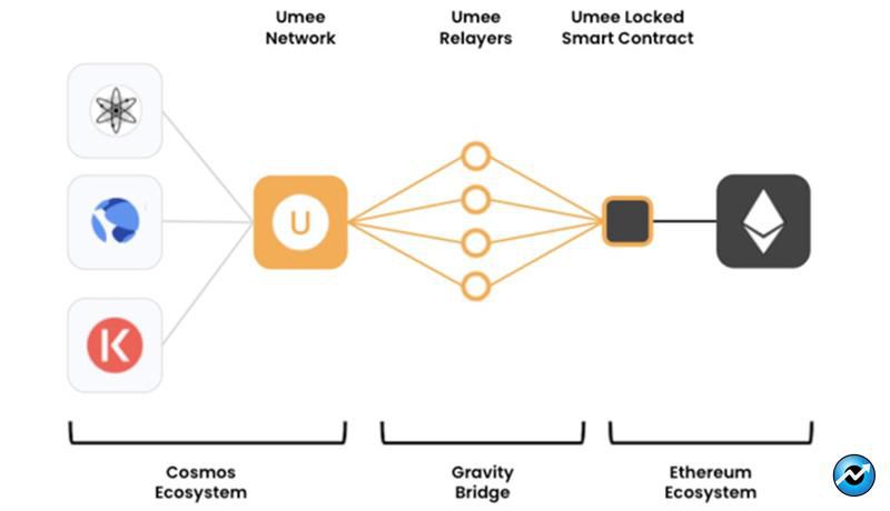 بلاکچین یومی (Umee) چیست؟ آشنایی با ارز دیجیتال و توکن UMEE