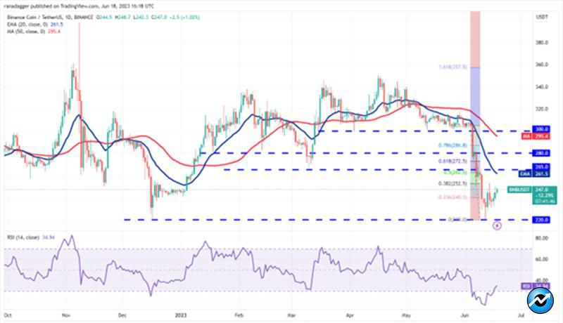 نمودار روزانه BNB/USDT.