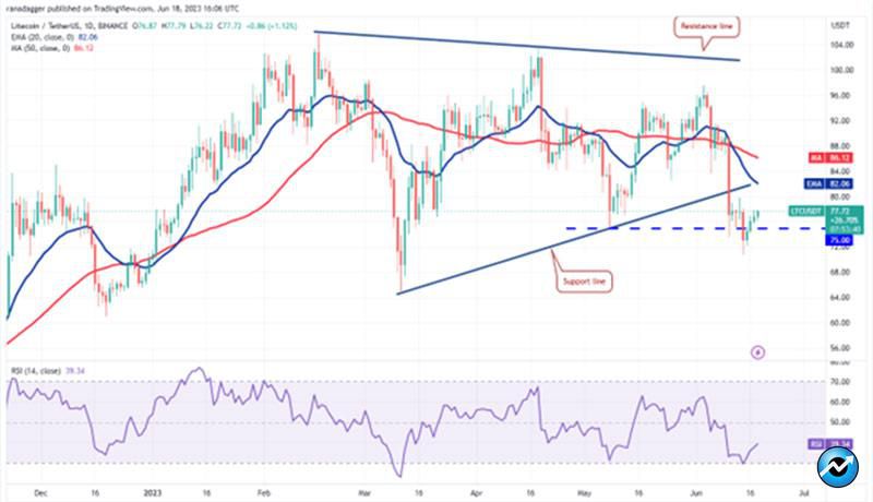 نمودار روزانه LTC/USDT.