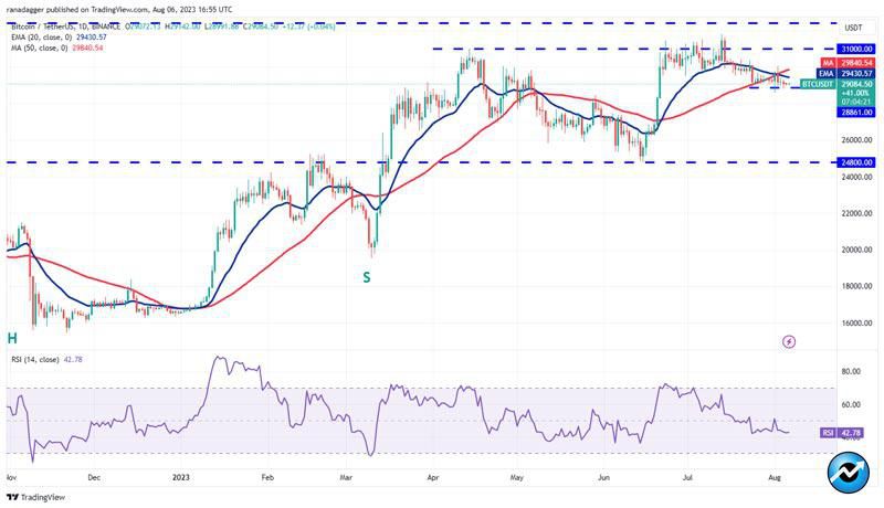 btc-shib-uni-okb-hbar-bullish-signs
