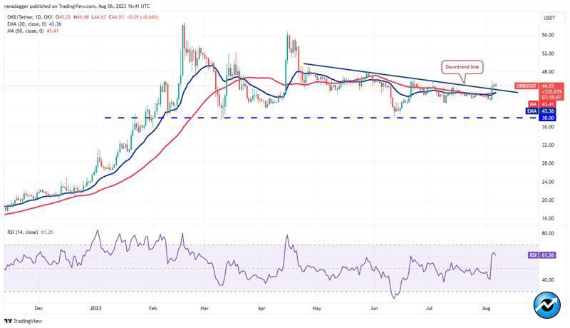 btc-shib-uni-okb-hbar-bullish-signs