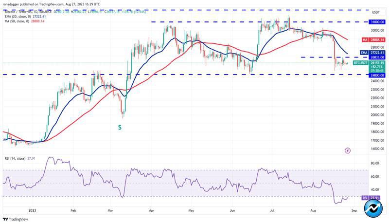 lucrative-setups-in-btc-ton-xmr-mnt-qnt