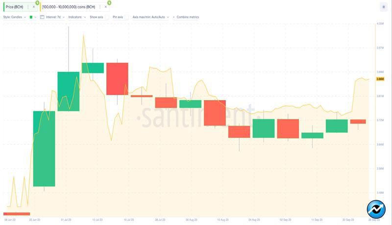 bitcoin-cash-long-term-holders-bullish-