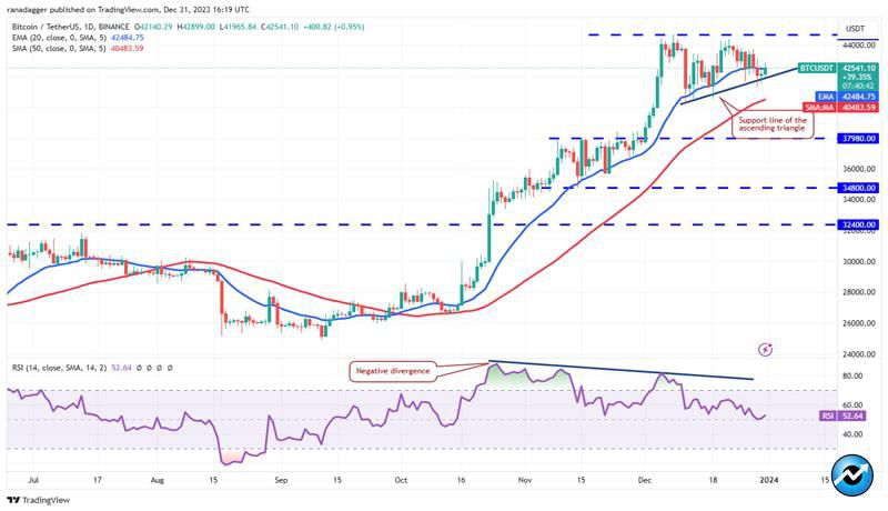 btc-uni-near-op-inj-bullish-in-2024