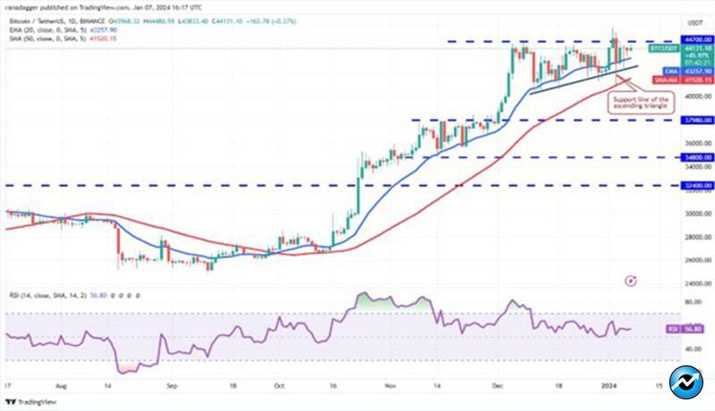 ۵ رمزارزی که در صورت تأیید ETF اسپات بیت کوین بیشترین رشد را خواهند داشت!