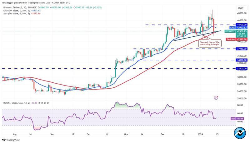 icp-tia-mnt-sei-altcoins-rebound