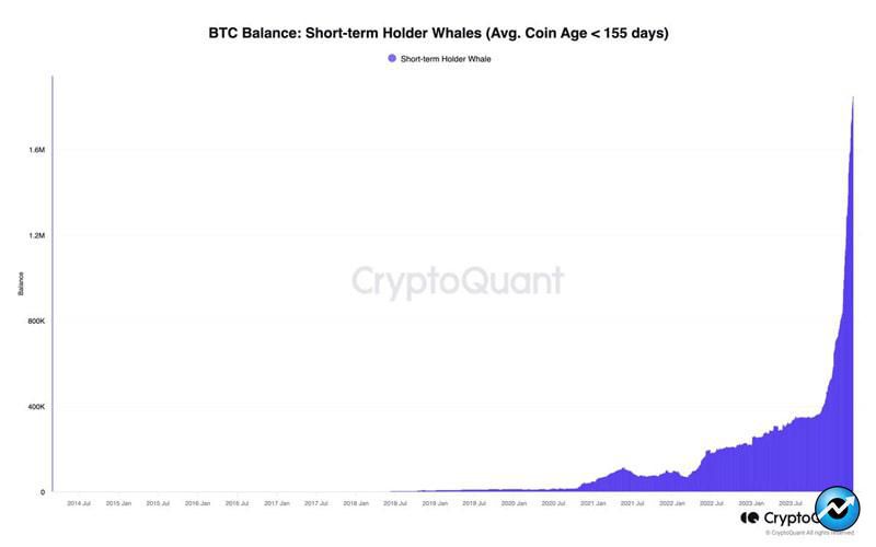 new-bitcoin-whales-now-control-9-of-btc-supply-amid-very-active-on-chain-accumulation-cryptoquant-ceo