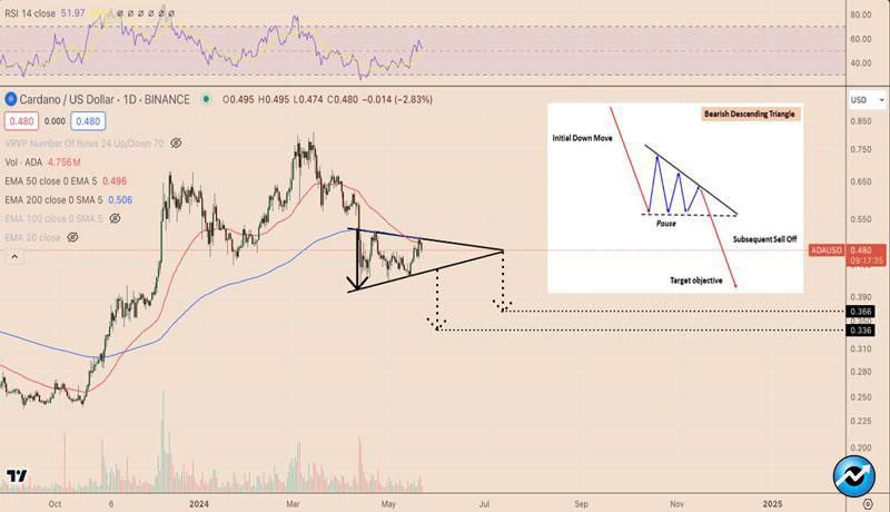 cardano-centralization-concerns