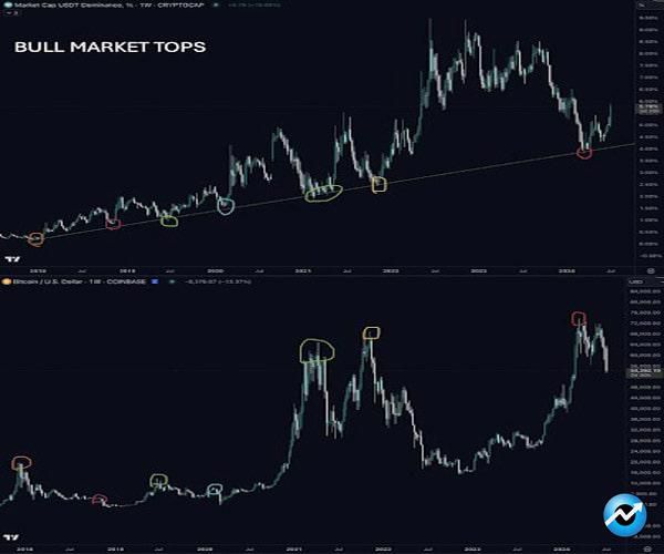 bitcoin-cycle-peak-usdt-dominance