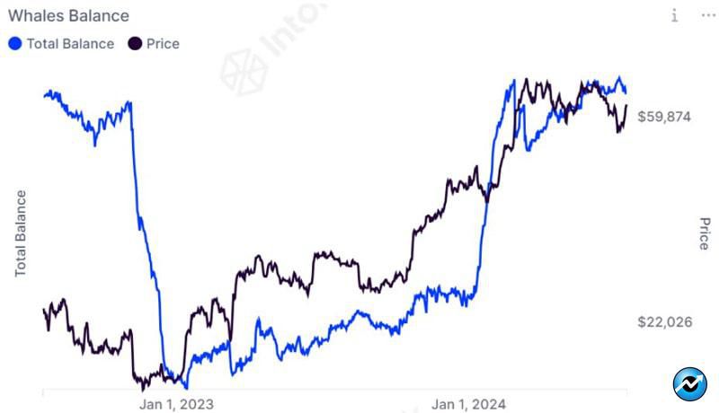 bitcoin-accumulation-mega-whale-holdings-hit-highest-levels-in-2-years