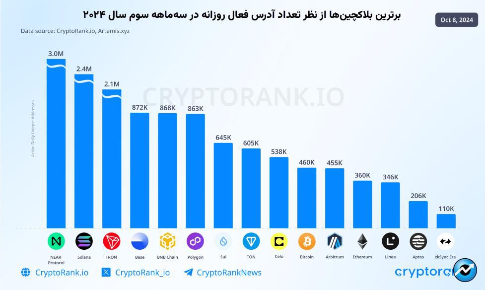 میم کوین‌ها چگونه تابستان امسال را داغ کردند؟