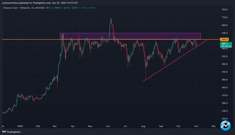 bnbs-29th-burn-examining-the-odds-of-altcoin-rallying-to-a-new-high-now