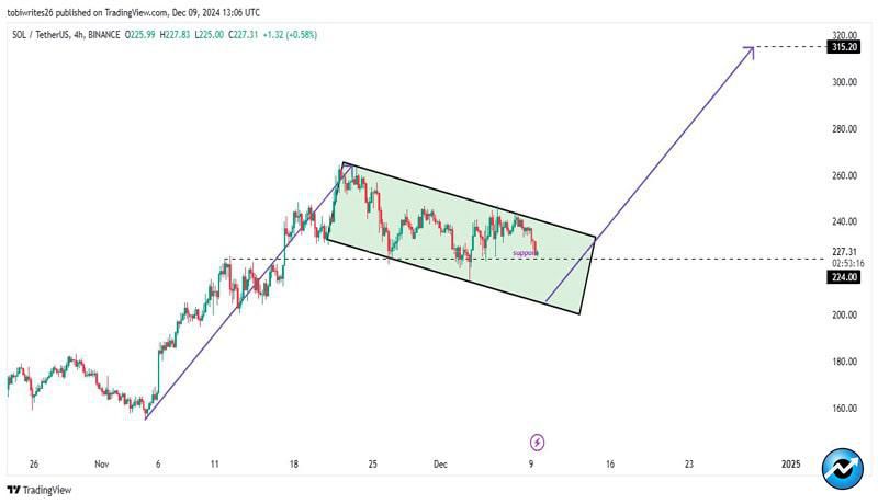 solana-how-traders-betting-on-sols-price-to-rally-could-push-it-to-315