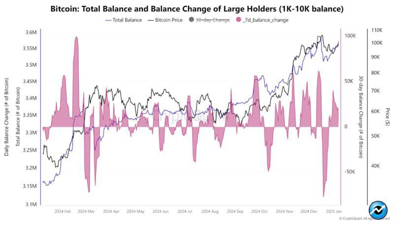 bitcoin-whales-are-accumulating-again-is-price-rebound-ahead-