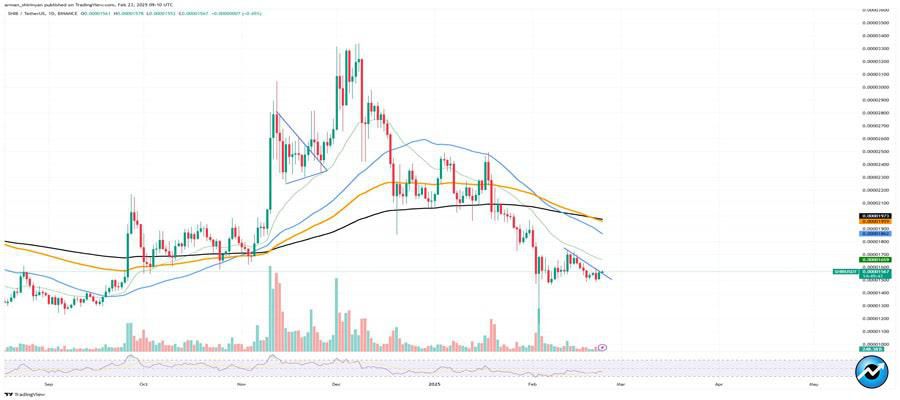 shiba-inu-shib-whales-finally-back-90-inflows-surge