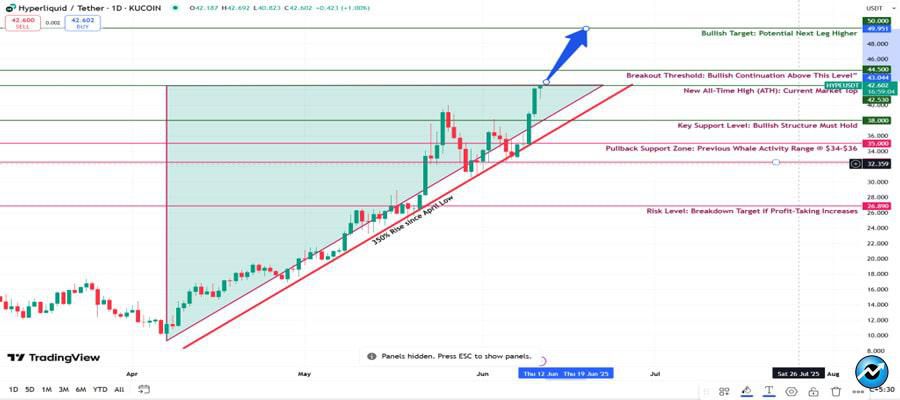 hyperliquid-hype-breaks-new-ath-as-whales-fuel-rally-can-bulls-push-beyond-50-